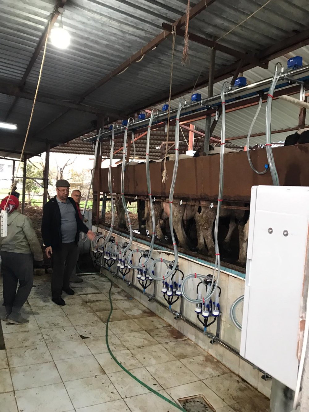 NİHAT AYDIN RAMPALI SAĞIM SİSTEMİ
