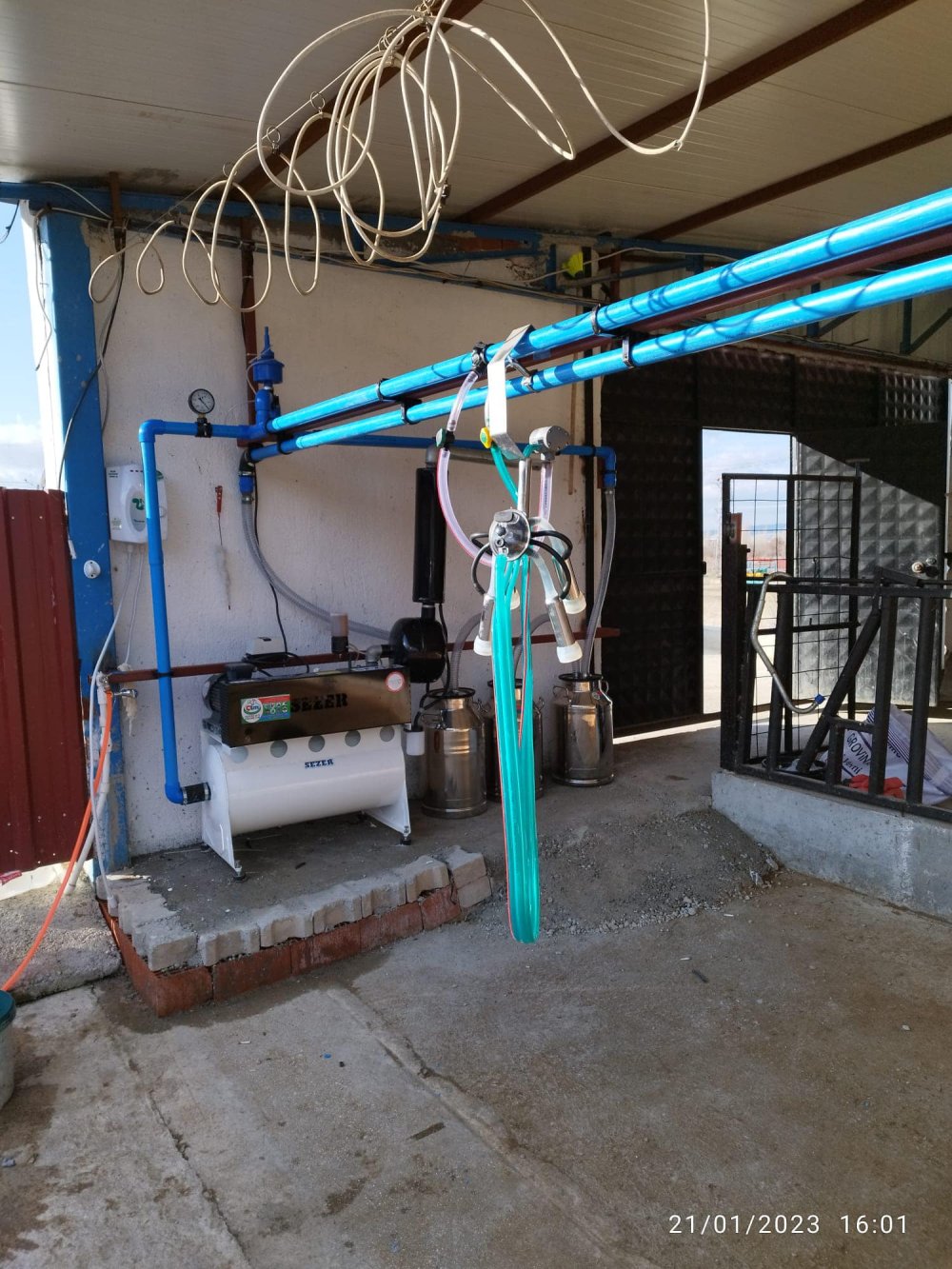 Askılı Sağım Sistemleri