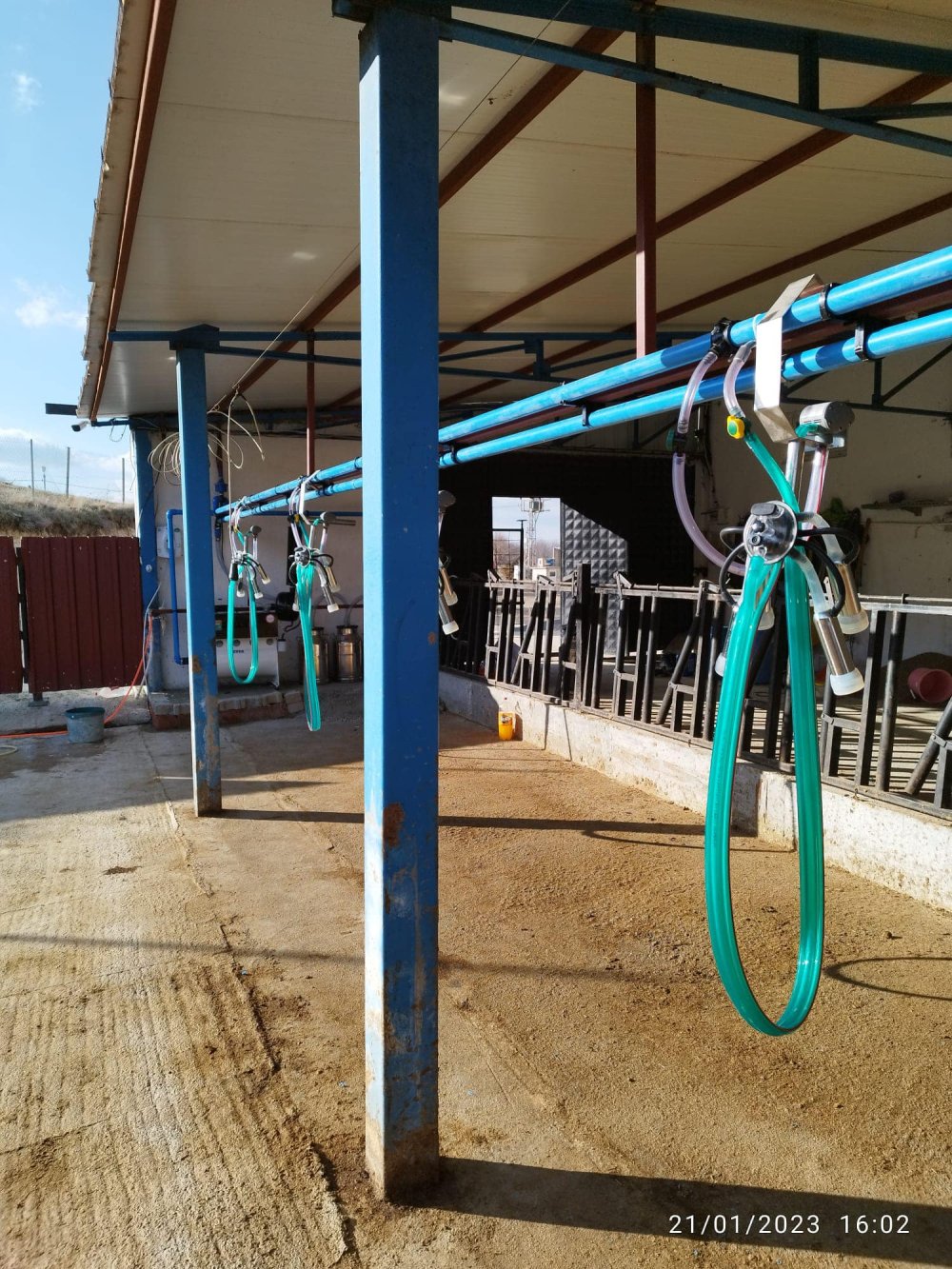 Askılı Sağım Sistemleri