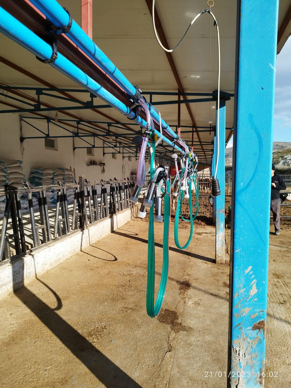 Askılı Sağım Sistemleri