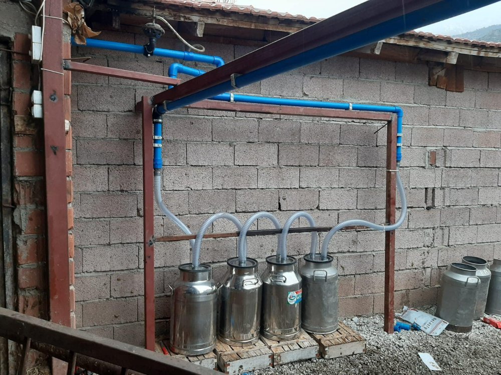 Askılı Sağım Sistemleri