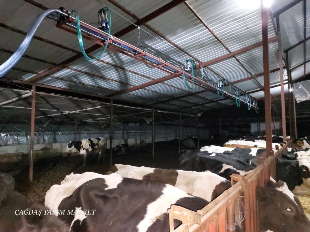 Calaskarlı Sağım Sistemleri