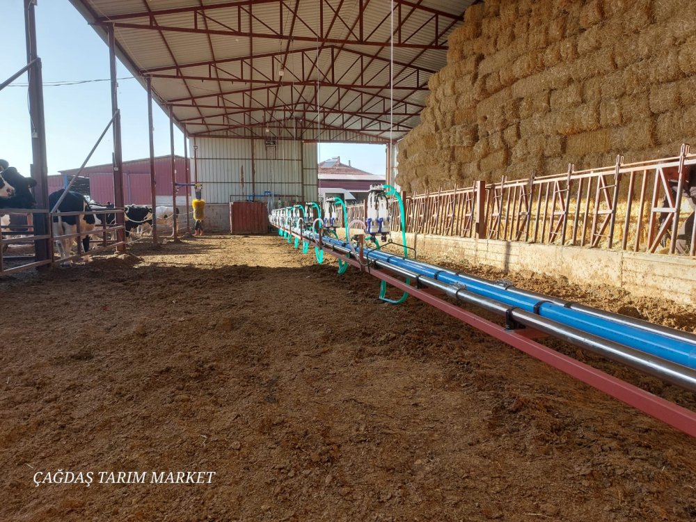 Calaskarlı Sağım Sistemleri