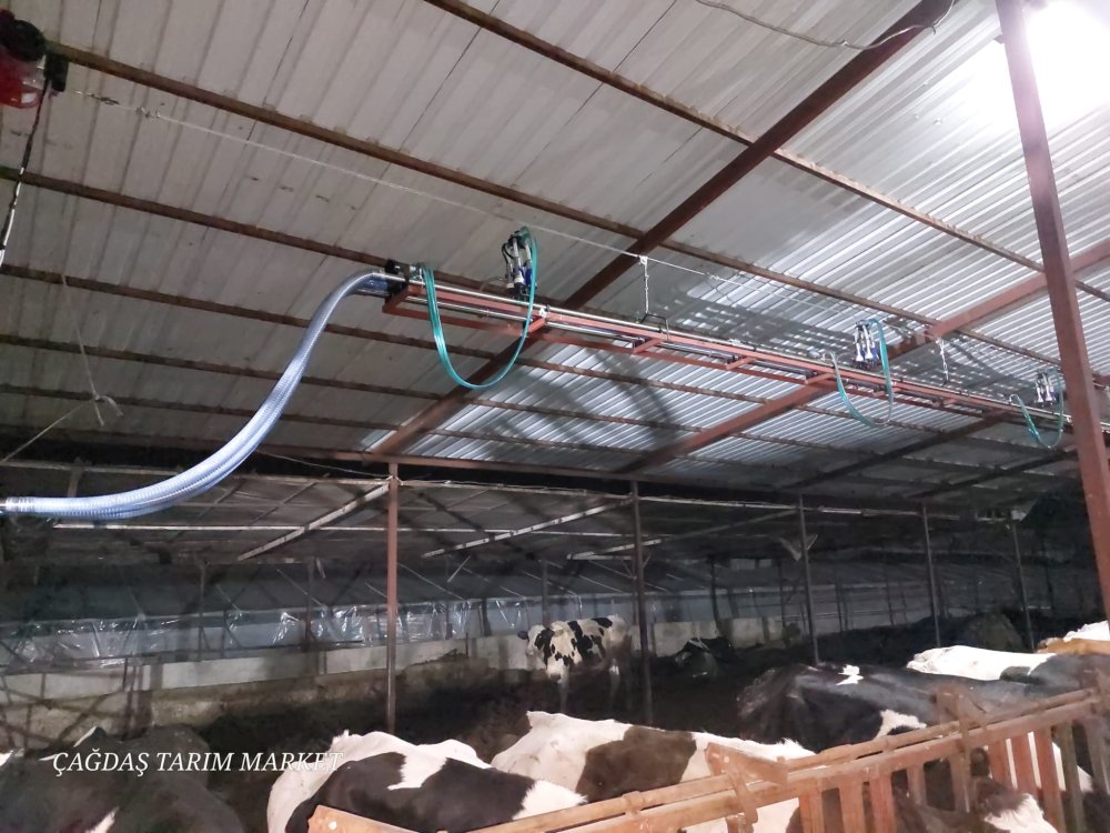 Calaskarlı Sağım Sistemleri