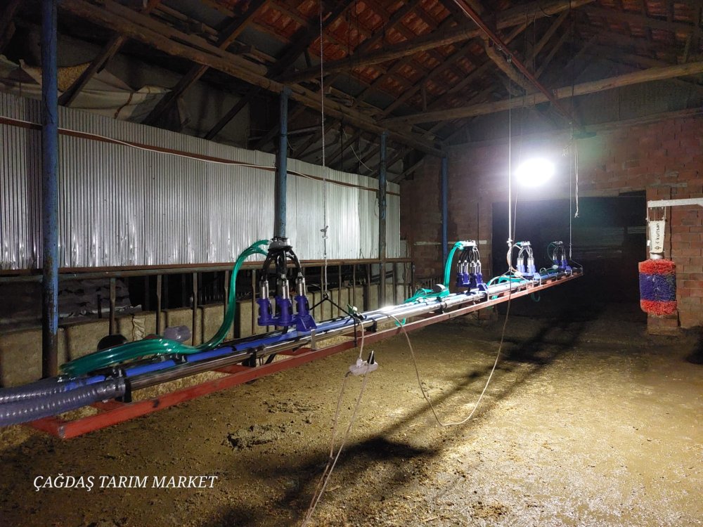 Calaskarlı Sağım Sistemleri