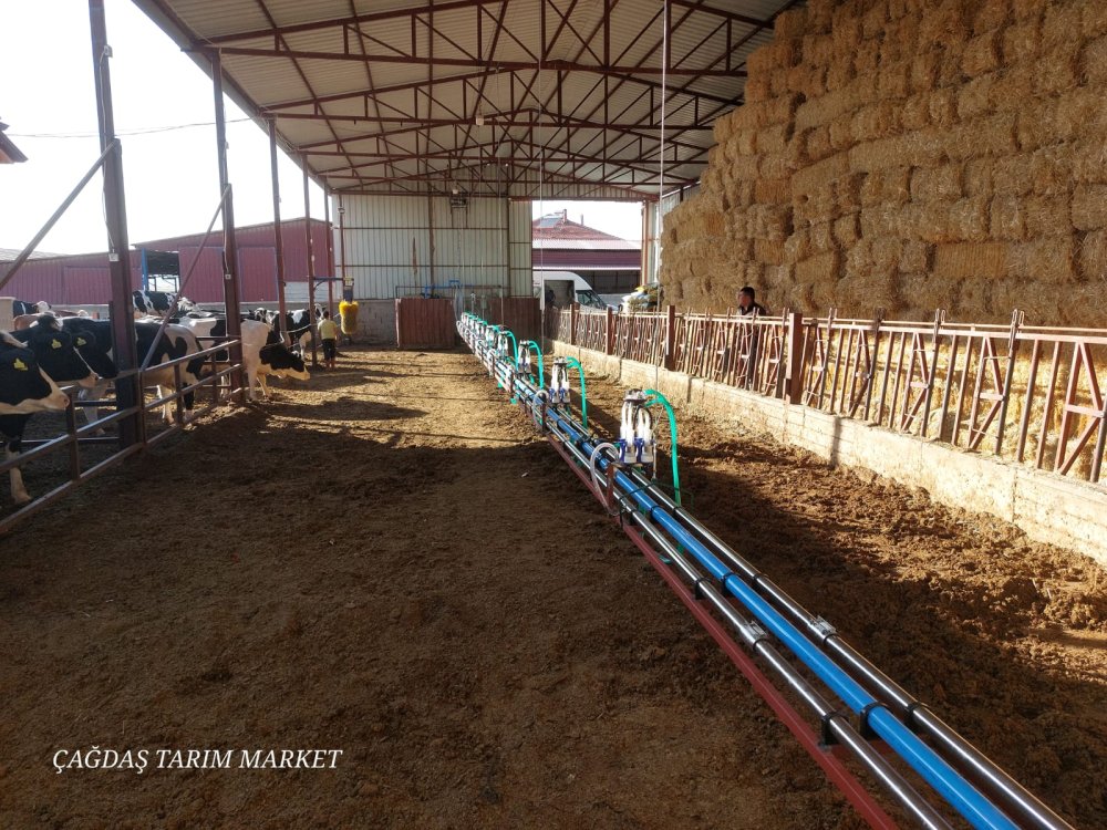 Calaskarlı Sağım Sistemleri