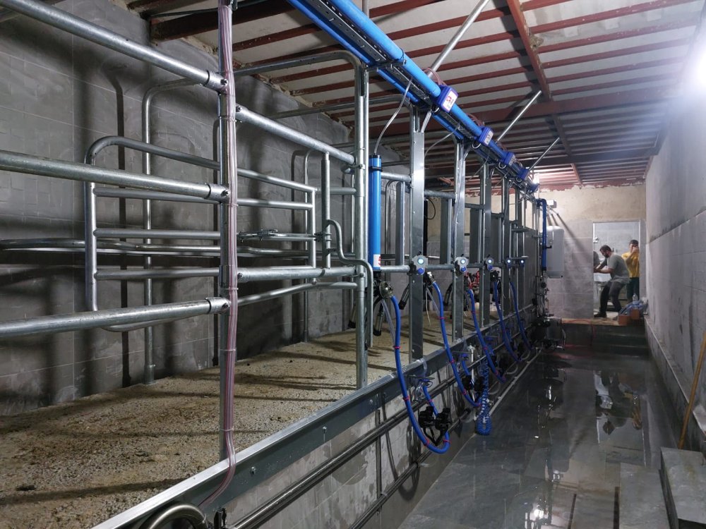 Elektronik sağım sistemleri