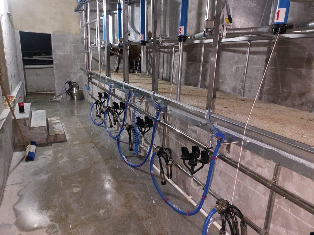 Elektronik sağım sistemleri