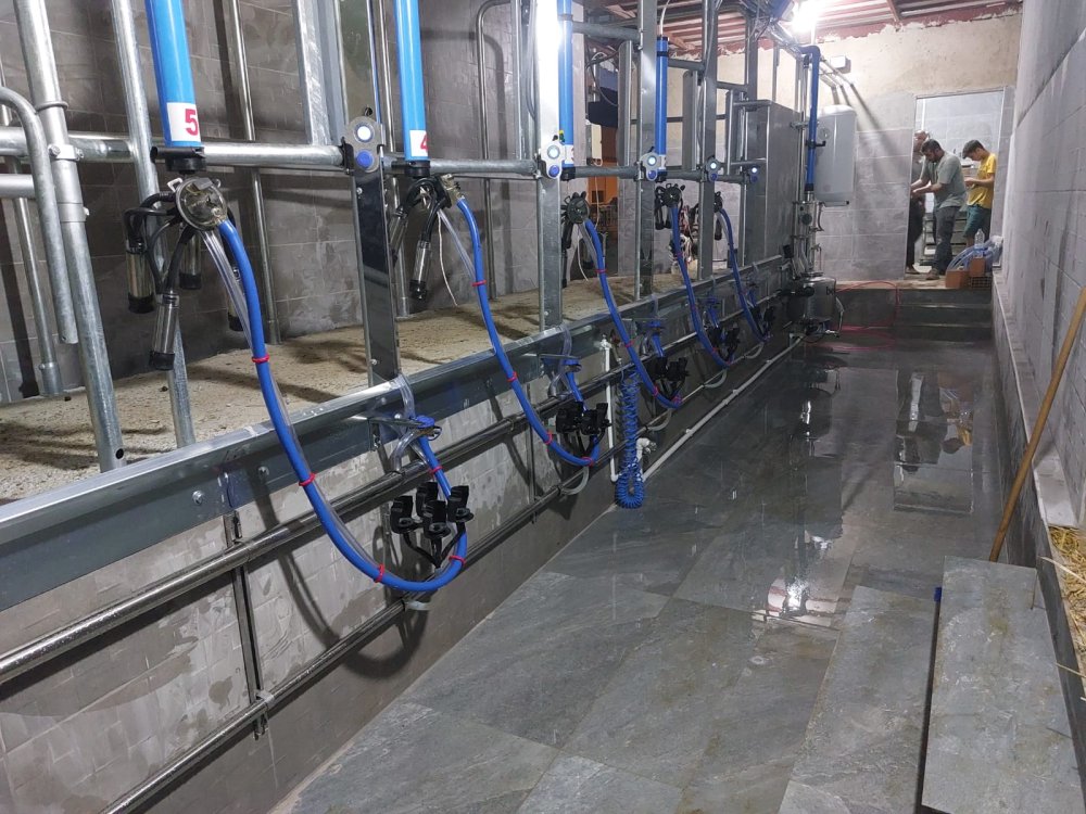 Elektronik sağım sistemleri