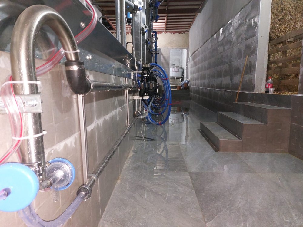 Elektronik sağım sistemleri