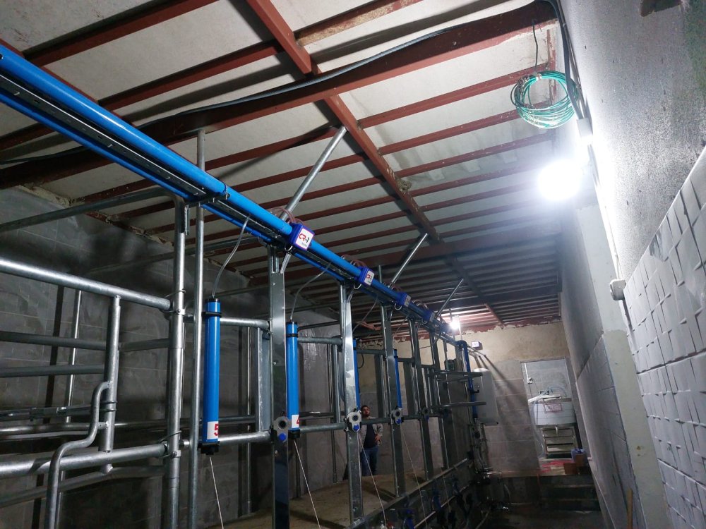 Elektronik sağım sistemleri