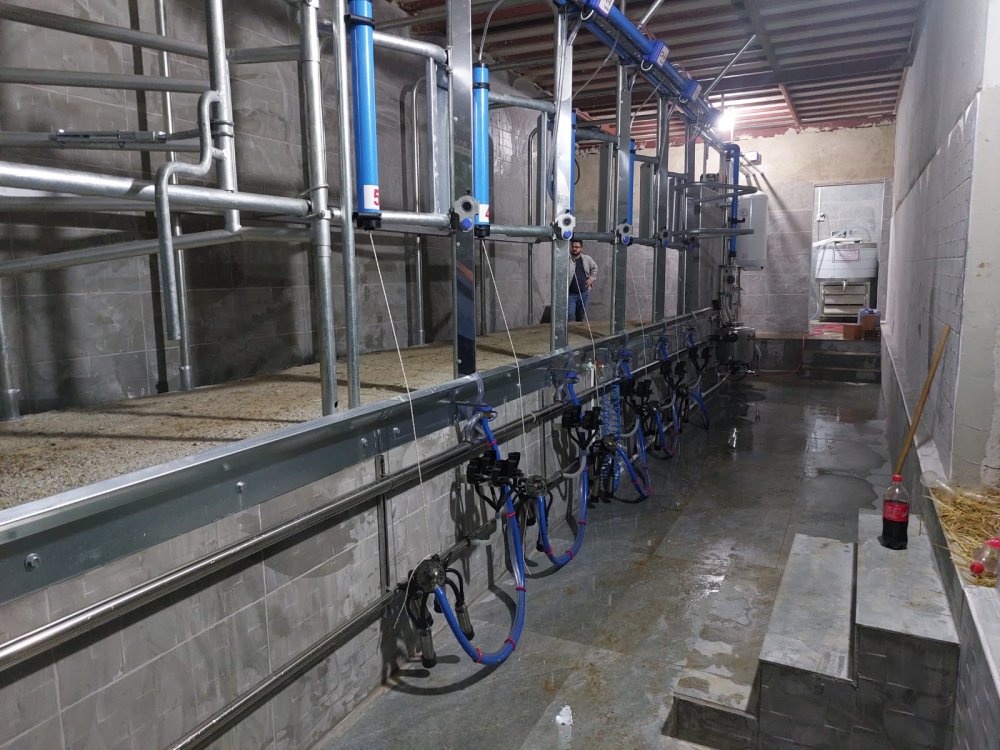 Elektronik sağım sistemleri