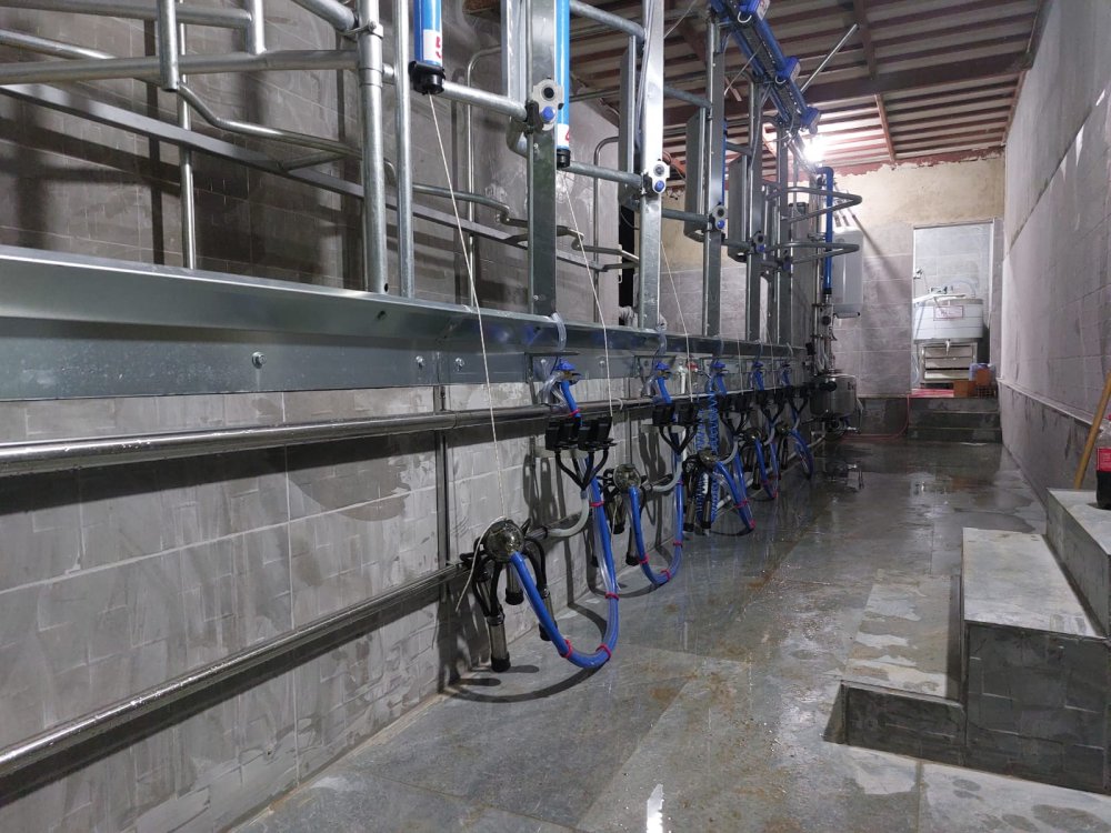 Elektronik sağım sistemleri