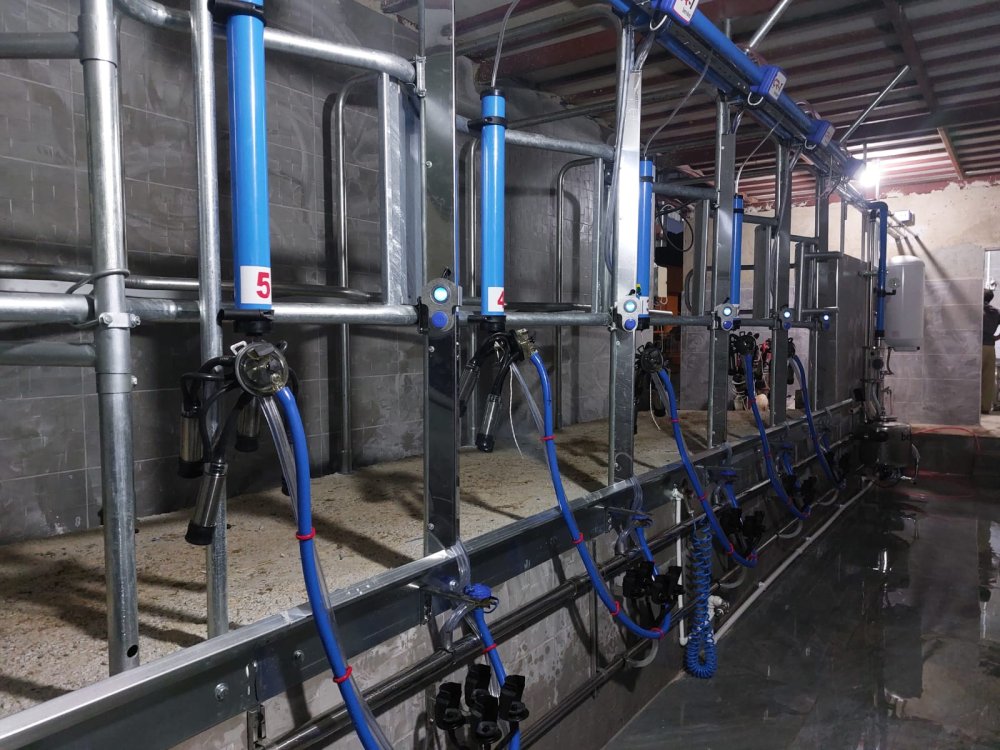 Elektronik sağım sistemleri