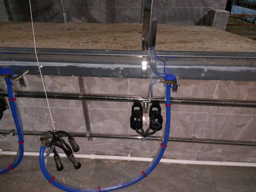 Elektronik sağım sistemleri