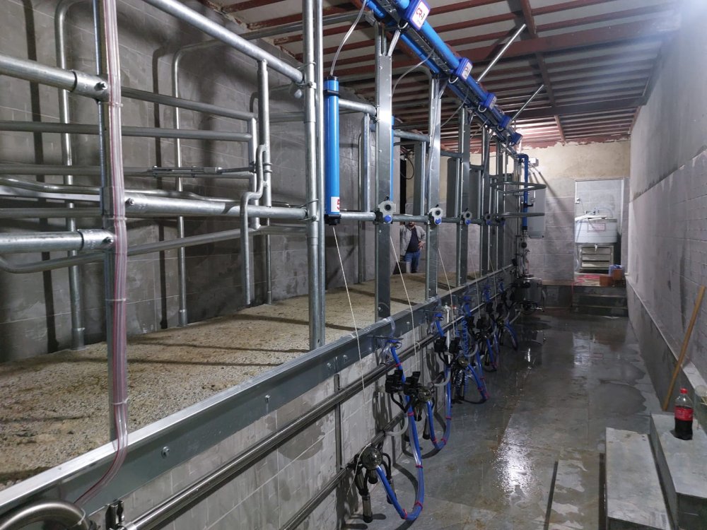 Elektronik sağım sistemleri