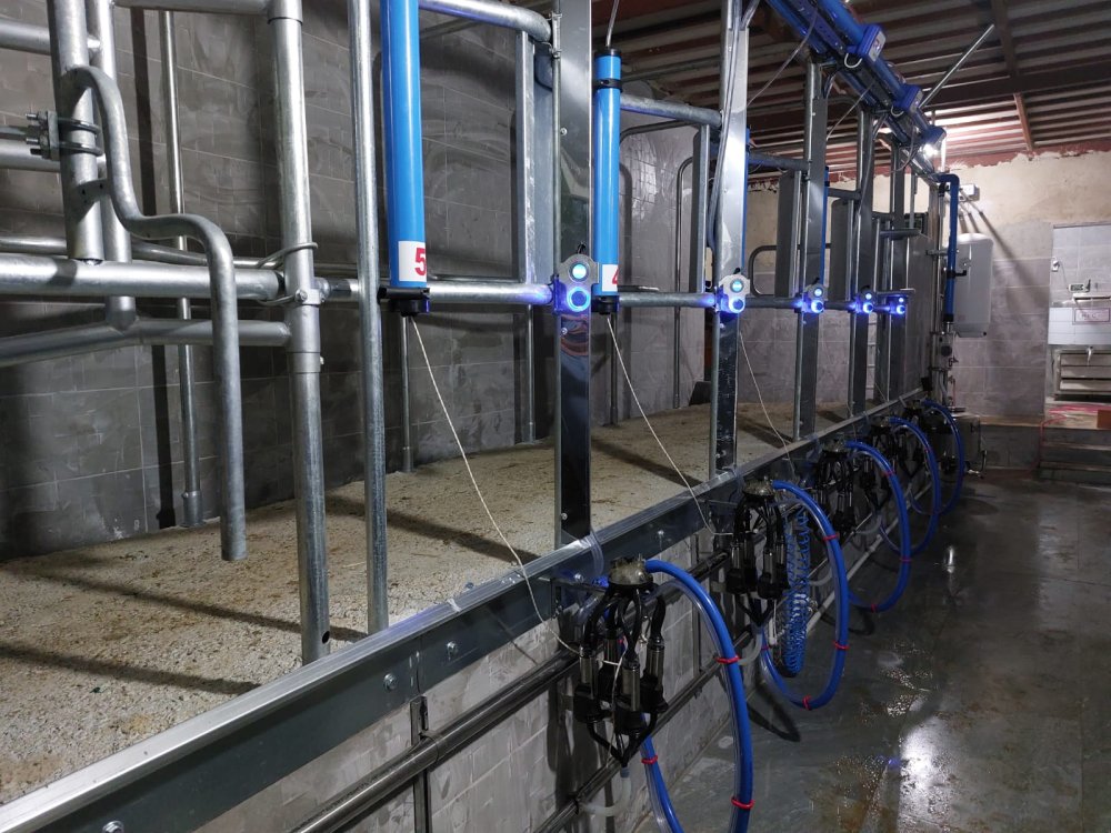 Elektronik sağım sistemleri