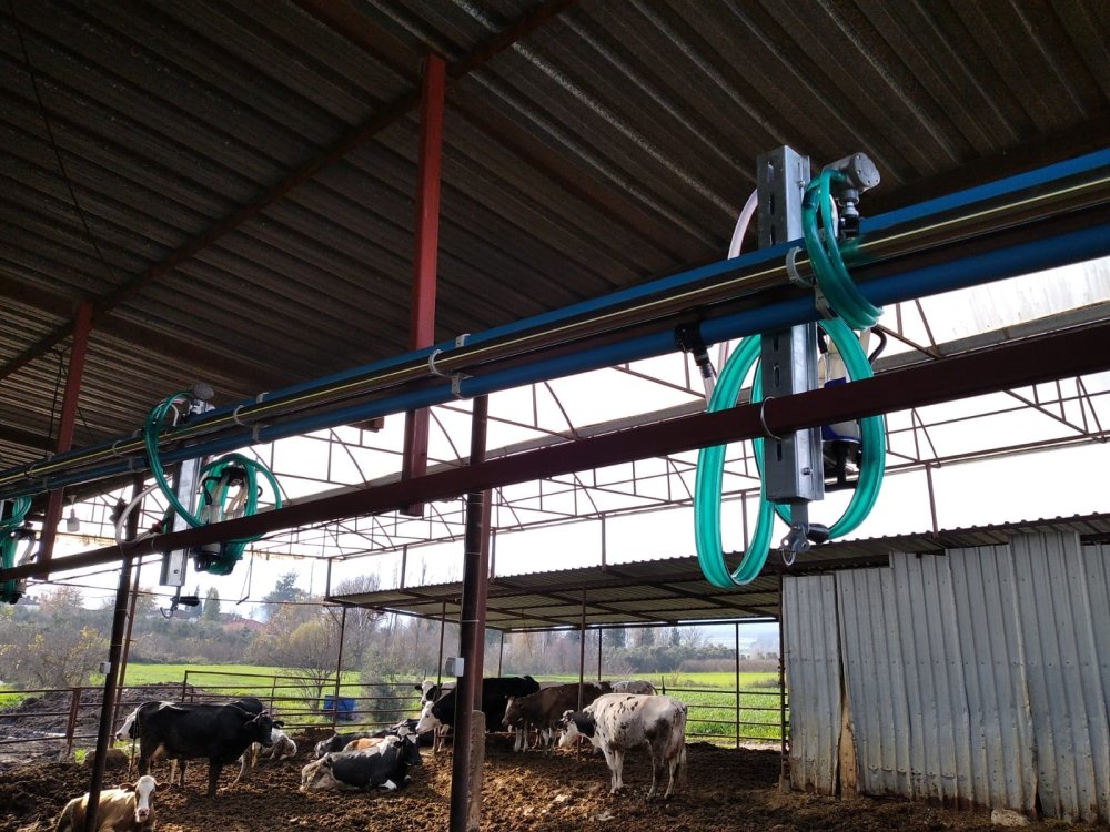 Kızaklı Sağım Sistemleri