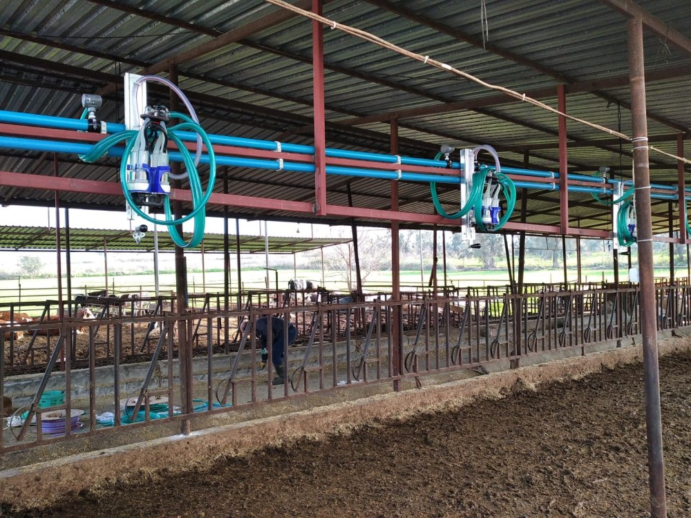 Kızaklı Sağım Sistemleri