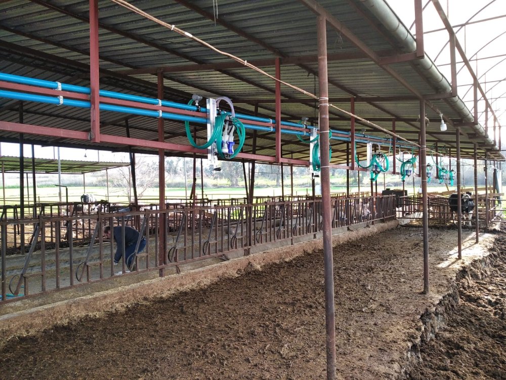 Kızaklı Sağım Sistemleri