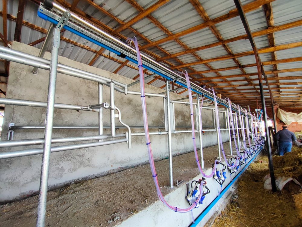 Rampalı Sağım Sistemleri