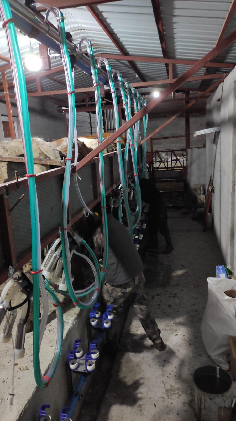 Rampalı Sağım Sistemleri