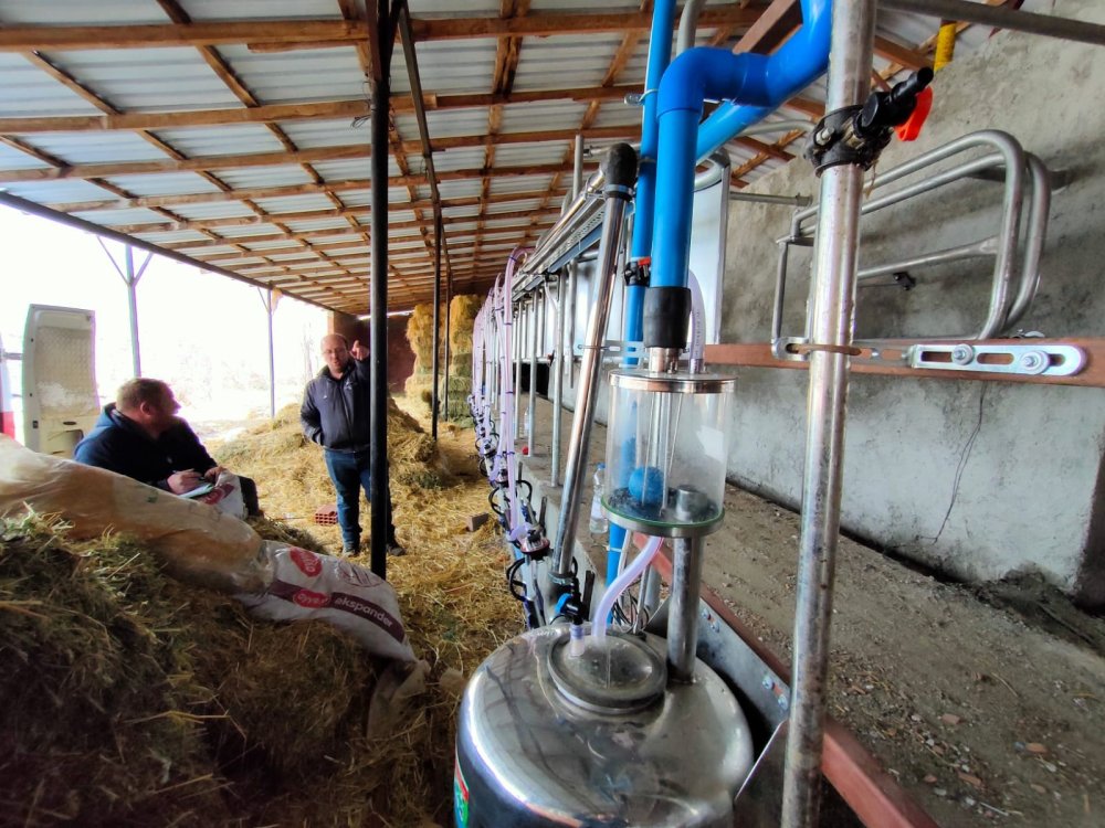 Rampalı Sağım Sistemleri