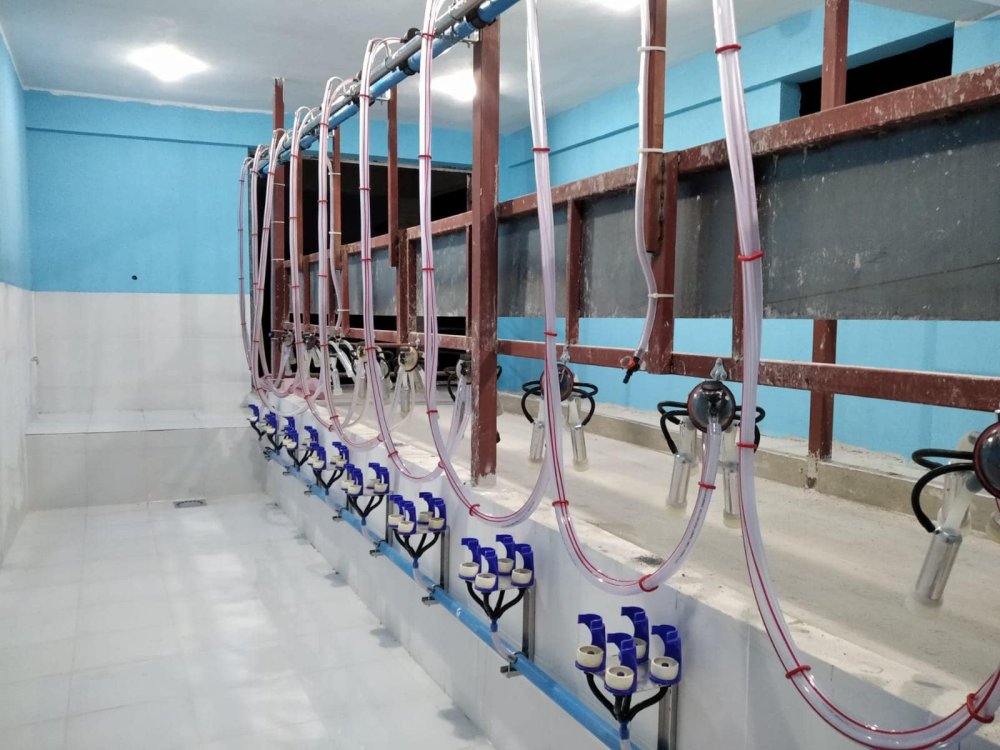 Rampalı Sağım Sistemleri