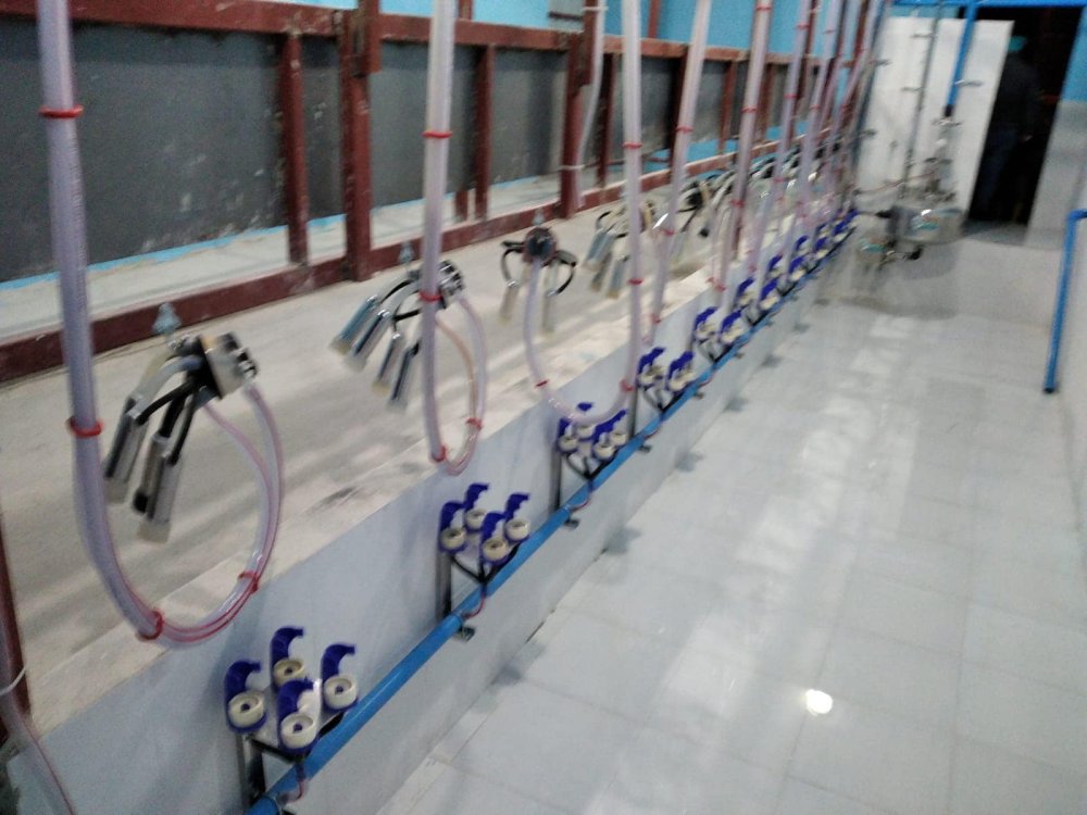 Rampalı Sağım Sistemleri