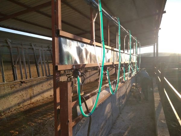 Rampalı Sağım Sistemleri