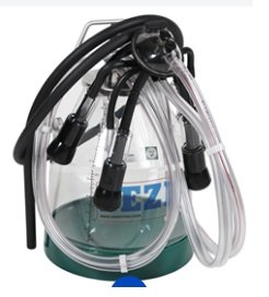 SEZER  ŞEFFAF GÜĞÜMLÜ TAKIM