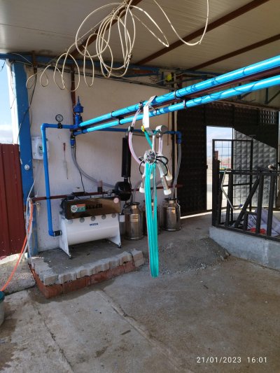 Askılı Sağım Sistemleri