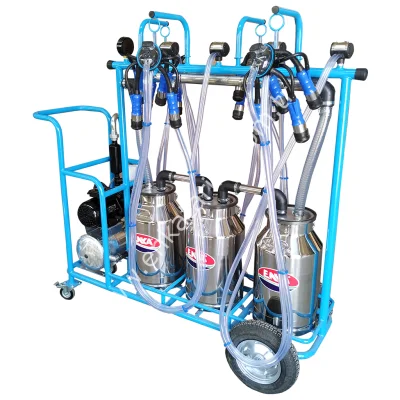 ENKA YAĞLI 4LÜ 3 GÜĞÜM  KAUÇUK