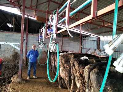 Kızaklı Sağım Sistemleri